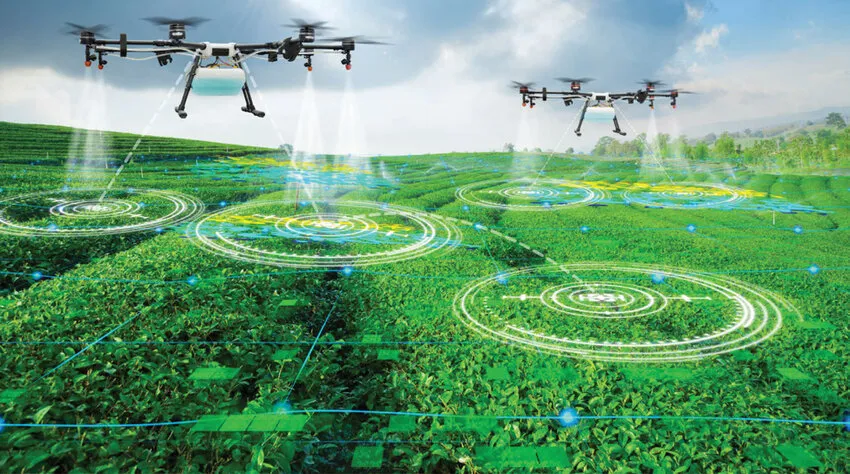 Crop Health Monitoring